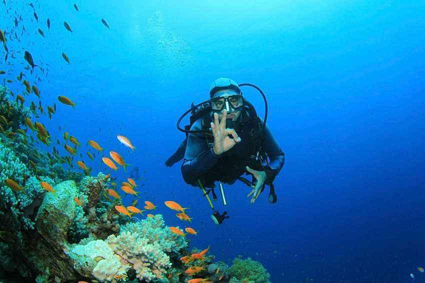 浙江这所地方高校,正式更名!网友:朝着“双一流”目标迈进