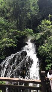 海岛大亨5